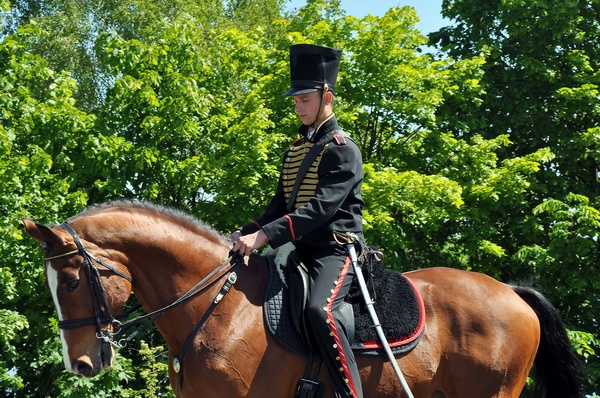 Schwerin Festumzug   046.jpg